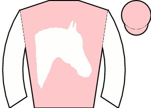 Horse silk