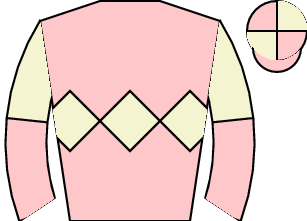 Horse silk