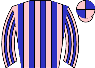 Horse silk