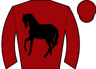 Horse silk