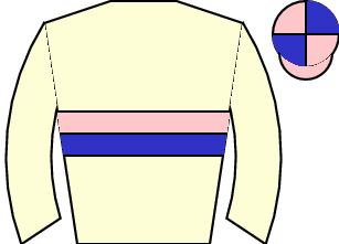 Horse silk