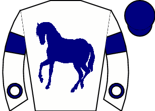 Horse silk