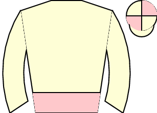 Horse silk