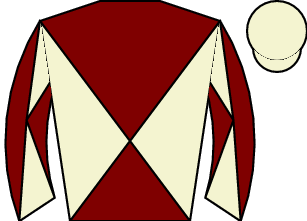 Horse silk