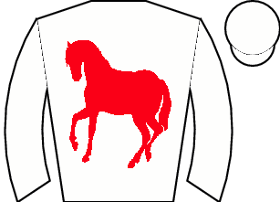 Horse silk