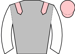 Horse silk