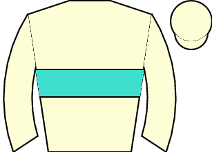 Horse silk