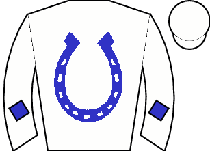 Horse silk