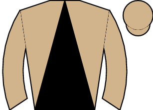 Horse silk