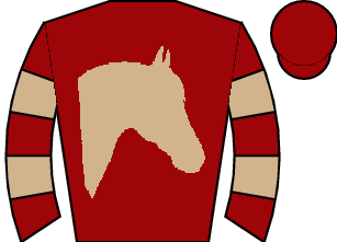 Horse silk