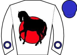 Horse silk