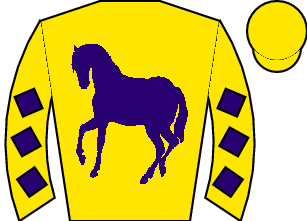 Horse silk