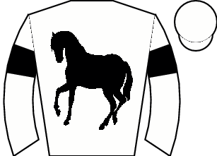 Horse silk