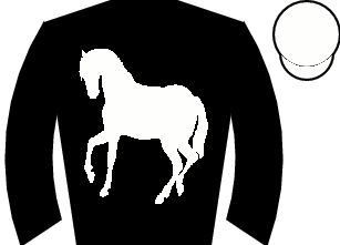 Horse silk