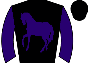 Horse silk