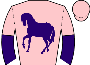 Horse silk