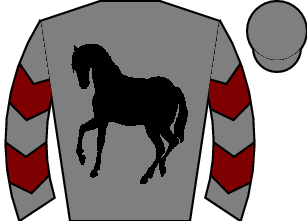 Horse silk