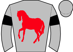 Horse silk