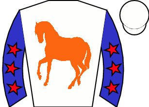 Horse silk