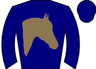 Horse silk