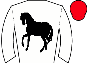 Horse silk