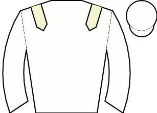 Horse silk