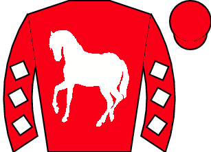 Horse silk