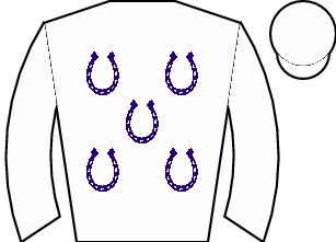 Horse silk