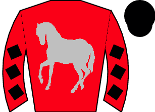 Horse silk