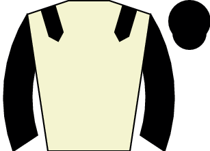 Horse silk