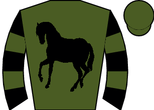 Horse silk