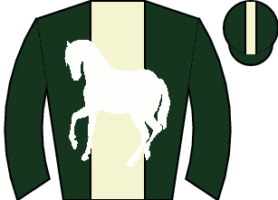 Horse silk