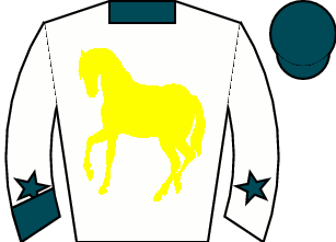 Horse silk