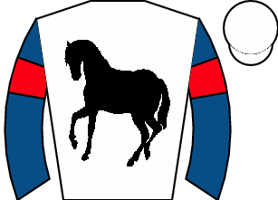 Horse silk