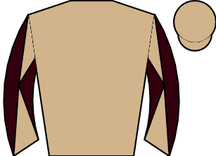 Horse silk