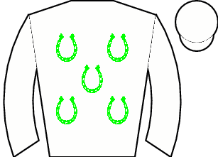 Horse silk