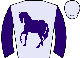 Horse silk