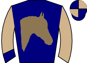 Horse silk