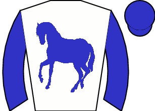 Horse silk