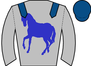 Horse silk