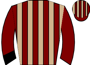 Horse silk