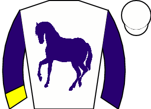 Horse silk