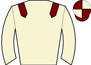 Horse silk