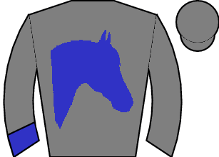 Horse silk