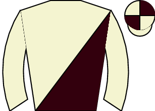 Horse silk