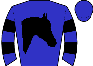 Horse silk