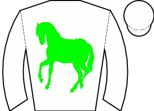 Horse silk