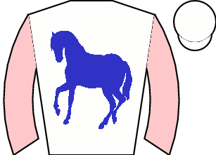 Horse silk