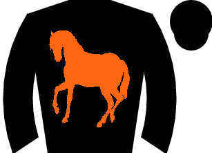 Horse silk