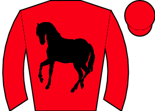 Horse silk